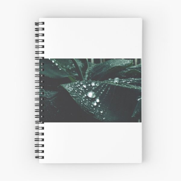 Item preview, Serene Raindrops: Relaxing Music with Water Droplets on Leaves designed and sold by hjian8219.