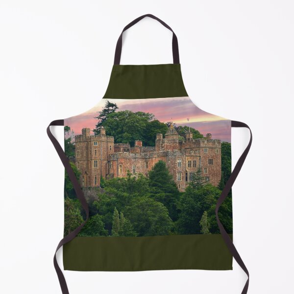 Item preview, Dunster Castle designed and sold by Alisonchambers2.