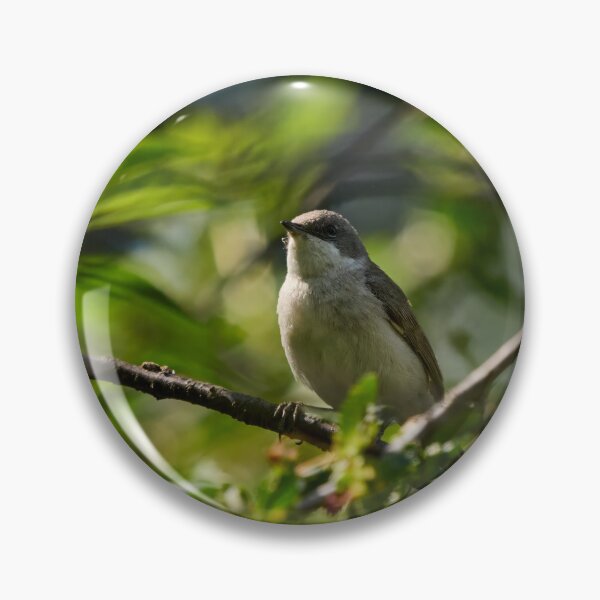 Item preview, Bush life 1. Lesser whitethroat designed and sold by Jouko Lehto Photography.