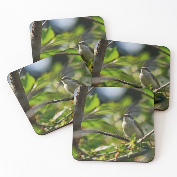 Item preview, Bush life 1. Lesser whitethroat designed and sold by Jouko Lehto Photography.
