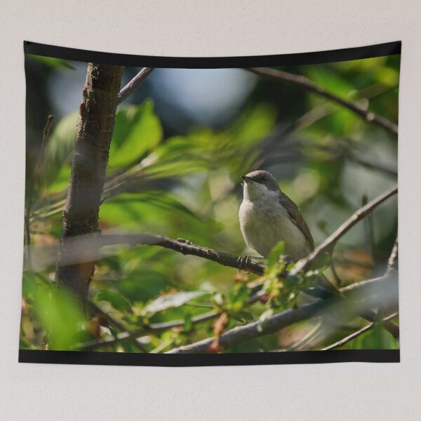 Item preview, Bush life 1. Lesser whitethroat designed and sold by Jouko Lehto Photography.