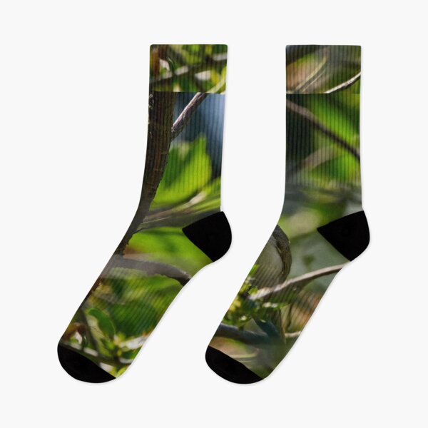 Item preview, Bush life 1. Lesser whitethroat designed and sold by Jouko Lehto Photography.