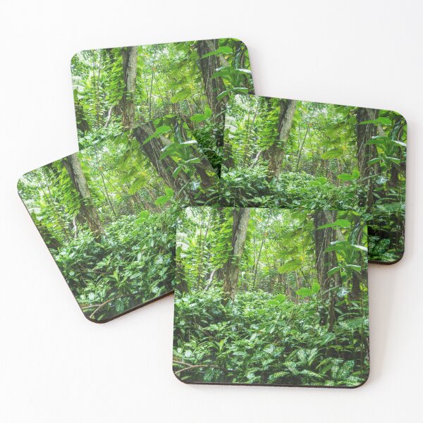 Item preview, Tropical Forest  designed and sold by Echo Aesthetics.