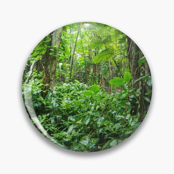 Item preview, Tropical Forest  designed and sold by Echo Aesthetics.
