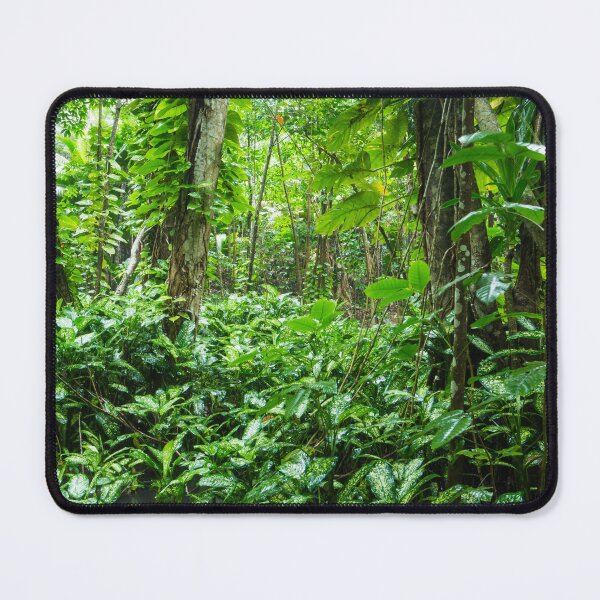 Item preview, Tropical Forest  designed and sold by Echo Aesthetics.