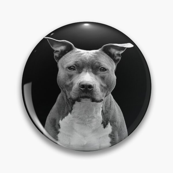 Item preview, Staffy_Pers000002 designed and sold by ngoessensarts.