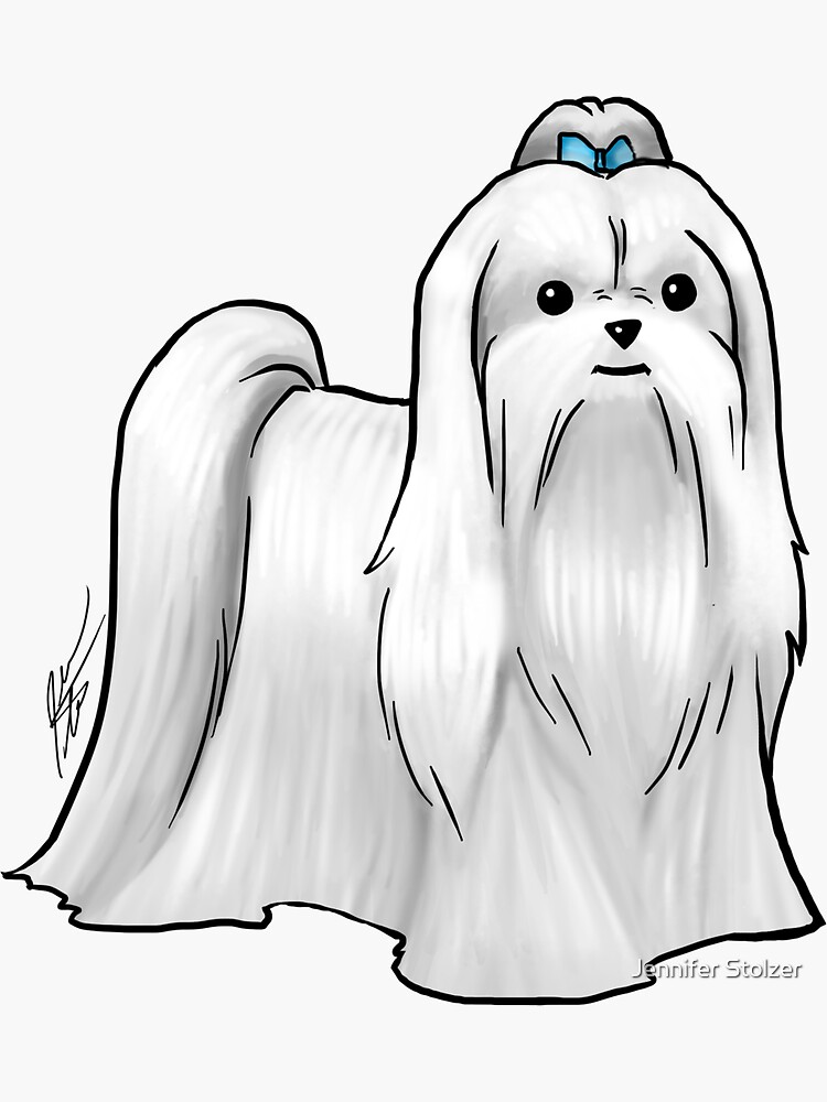 Maltese - Show Cut by jameson9101322