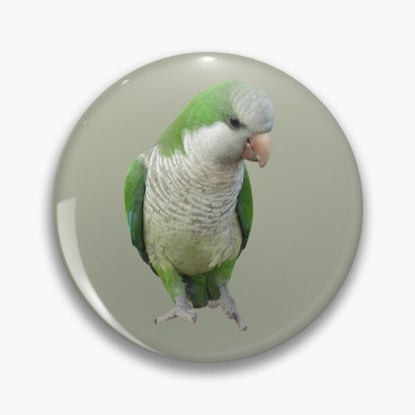 Artikelvorschau, Mönchssittich-Vogel entworfen und verkauft von RainbowSpinkle.