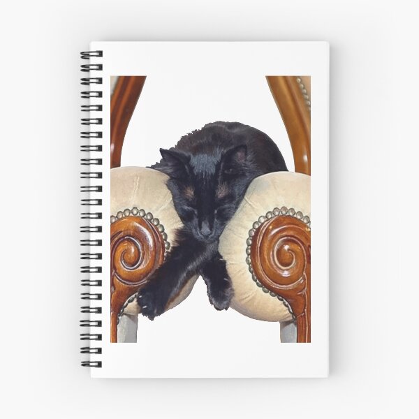 Item preview, Black Cat Slouched Between Two Chairs Legs Crossed  designed and sold by TabithaJacobs.