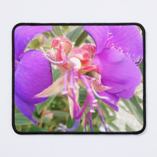 Item preview, Amazing violet flower designed and sold by Dreammkd.