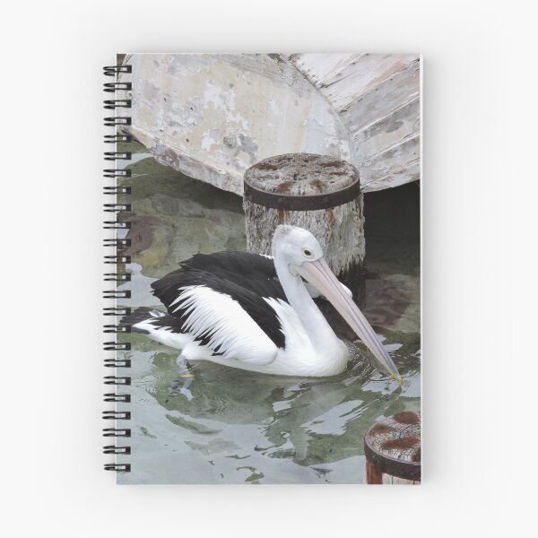 Item preview, Pelican Paddling designed and sold by MaureenBoyle.