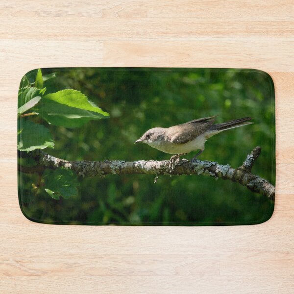 Item preview, Stopped for a moment. Lesser whitethroat designed and sold by Jouko Lehto Photography.