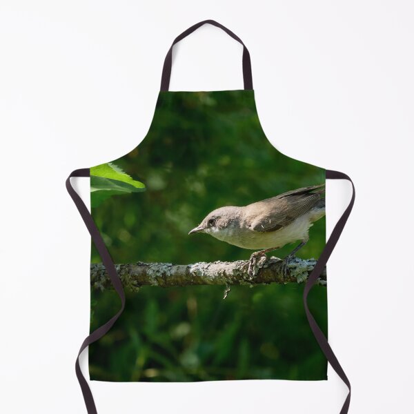 Item preview, Stopped for a moment. Lesser whitethroat designed and sold by Jouko Lehto Photography.