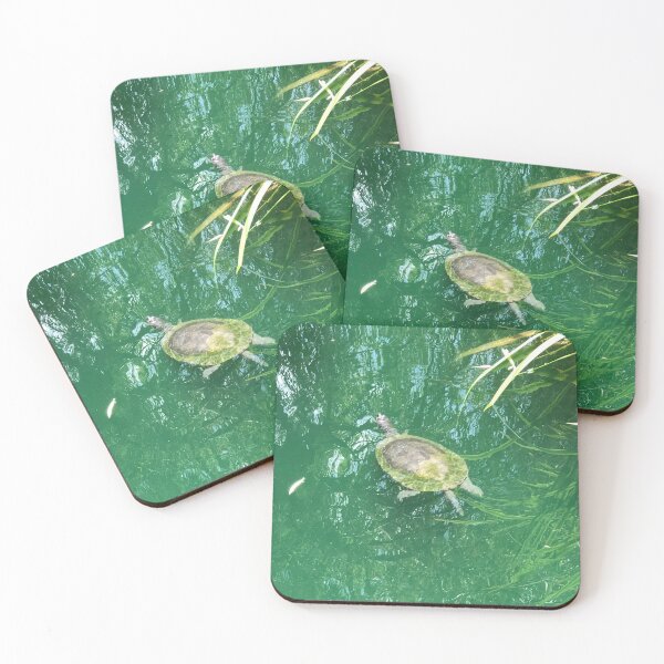 Item preview, Turtle in reflective pond designed and sold by skuke ly.