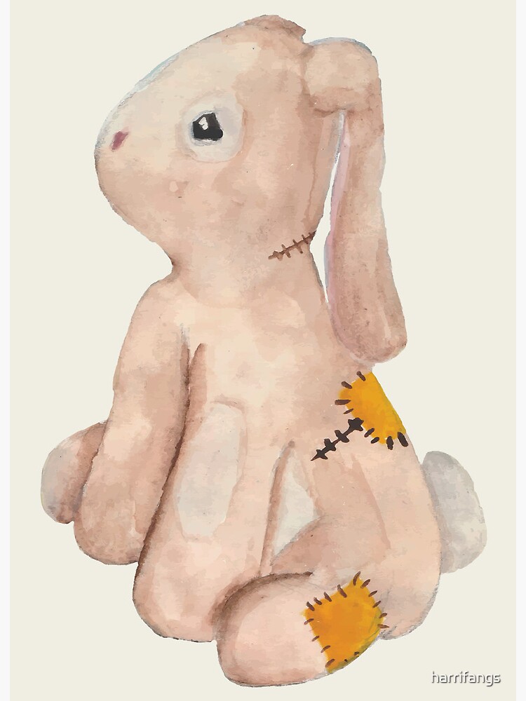 The Velveteen Rabbit Plush Gift Set: The Classic Edition Board Book + Plush Stuffed Animal Toy Rabbit Gift Set [Book]