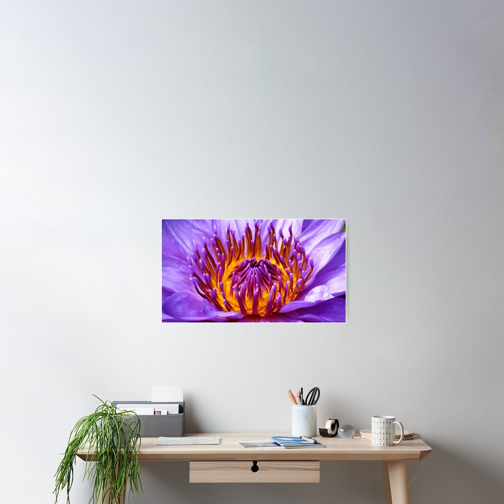 Item preview, Poster designed and sold by shutterbug2010.