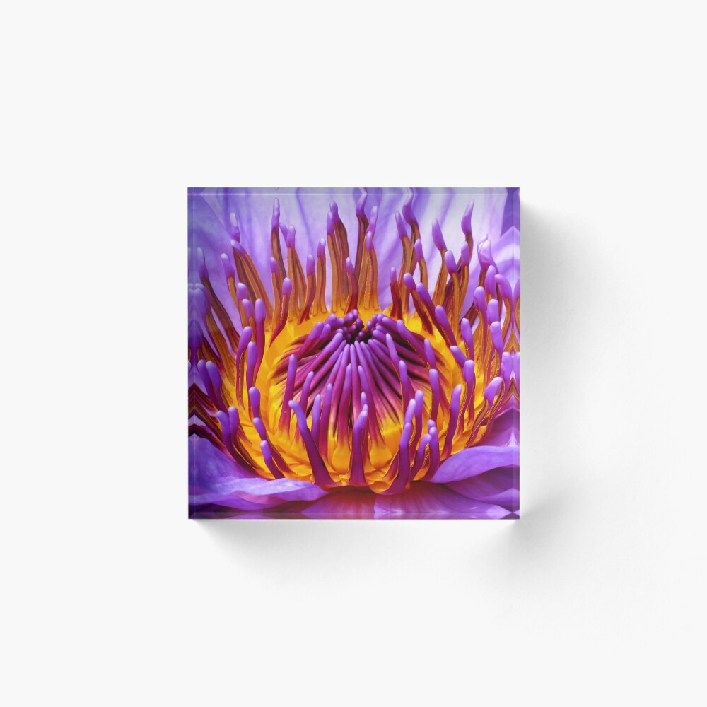 Item preview, Acrylic Block designed and sold by shutterbug2010.