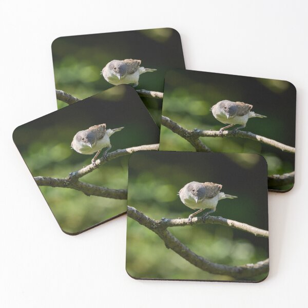 Item preview, Lesser whitethroat the curious one designed and sold by Jouko Lehto Photography.