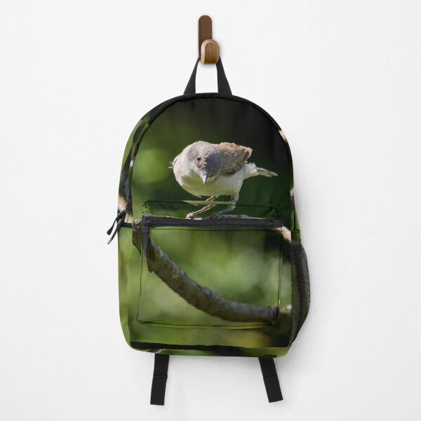 Item preview, Lesser whitethroat the curious one designed and sold by Jouko Lehto Photography.