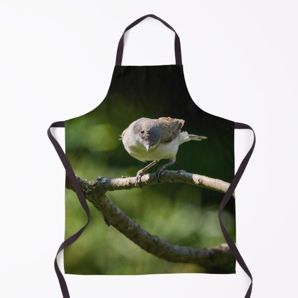 Item preview, Lesser whitethroat the curious one designed and sold by Jouko Lehto Photography.