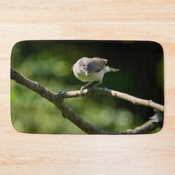 Item preview, Lesser whitethroat the curious one designed and sold by Jouko Lehto Photography.