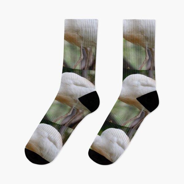 Item preview, Cattle Egret Eating designed and sold by Nicole Gath.