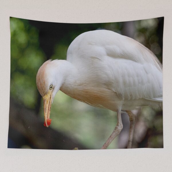Item preview, Cattle Egret Eating designed and sold by Nicole Gath.