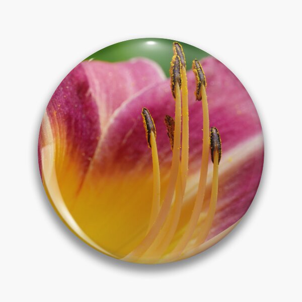 Item preview, Flower designed and sold by mary02.