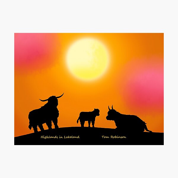 Item preview, Highland Cattle in Lakeland National Park designed and sold by LakelandDrawing.