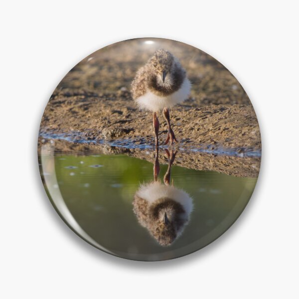 Item preview, Reflection designed and sold by WildEncounters.