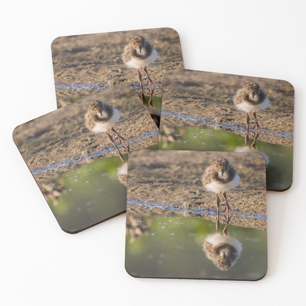 Item preview, Coasters (Set of 4) designed and sold by WildEncounters.