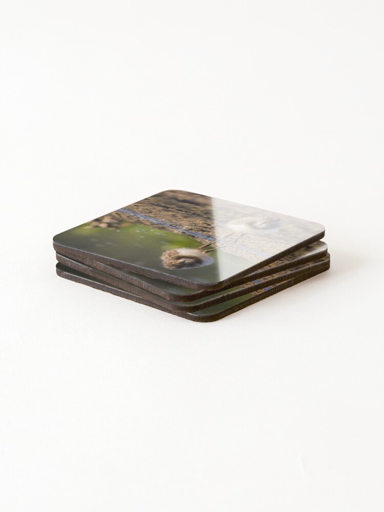 Thumbnail 4 of 5, Coasters (Set of 4), Reflection designed and sold by WildEncounters.