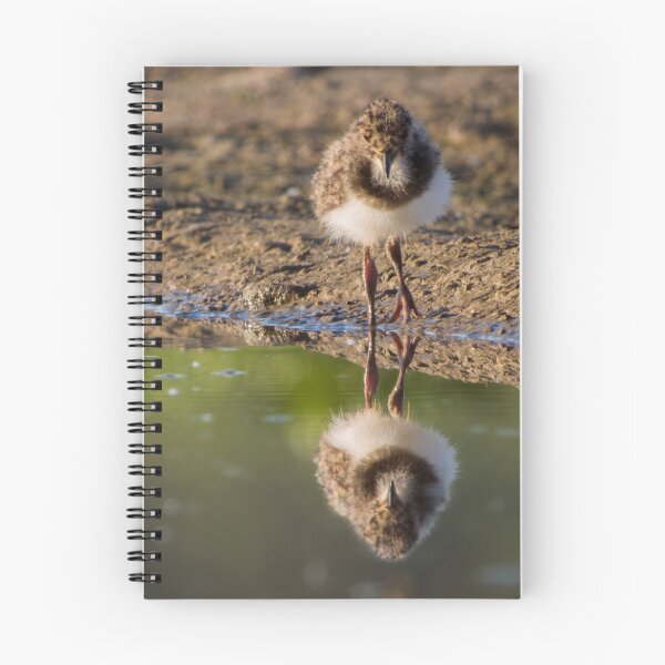 Item preview, Reflection designed and sold by WildEncounters.