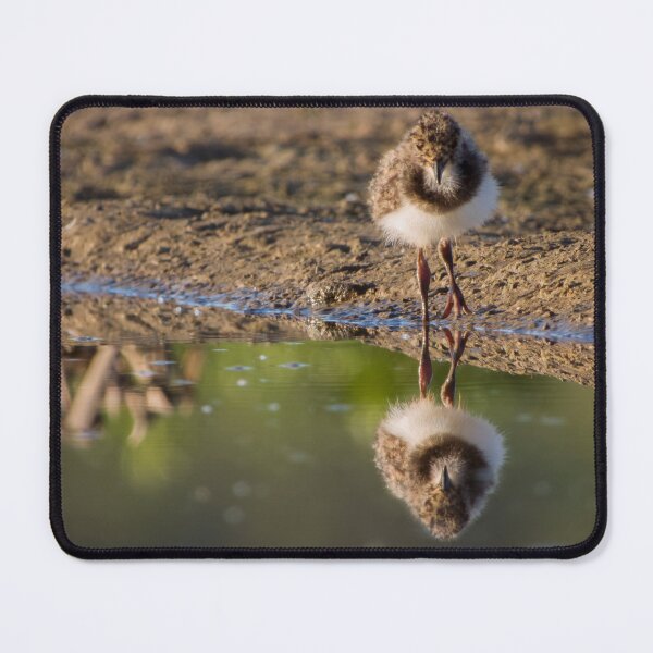 Item preview, Reflection designed and sold by WildEncounters.