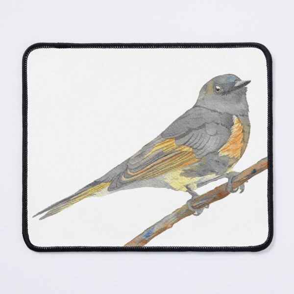 Item preview, American redstart warbler watercolor portrait designed and sold by L'Atelier Oranjade.