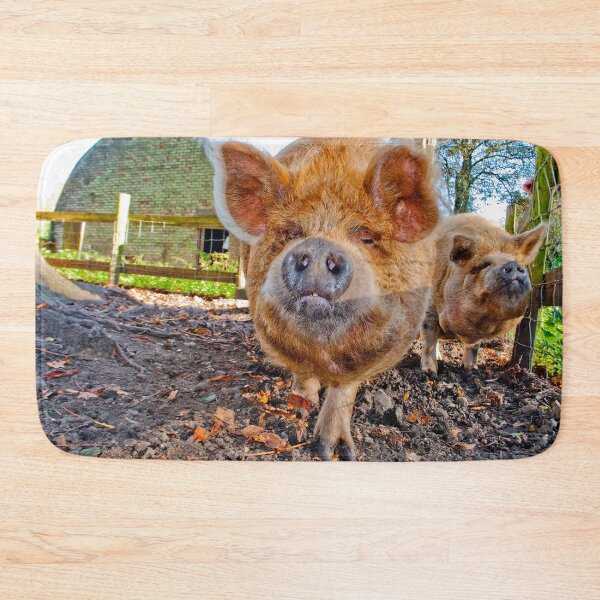 Item preview, New Zealand Kunekune Pig designed and sold by AndyEvansPhotos.