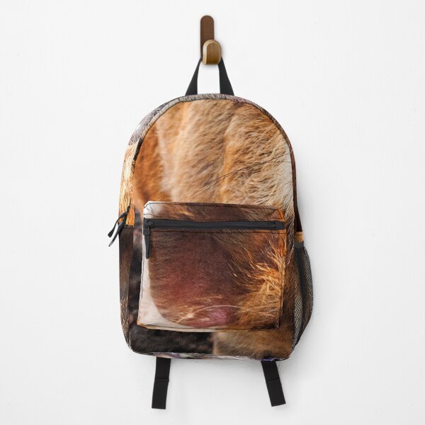 Item preview, New Zealand Kunekune Pig designed and sold by AndyEvansPhotos.