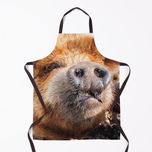 Item preview, New Zealand Kunekune Pig designed and sold by AndyEvansPhotos.