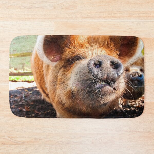 Item preview, New Zealand Kunekune Pig designed and sold by AndyEvansPhotos.