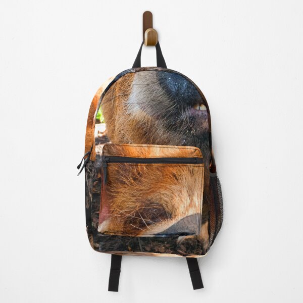 Item preview, New Zealand Kunekune Pig designed and sold by AndyEvansPhotos.