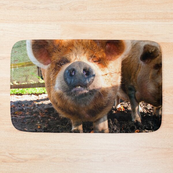 Item preview, New Zealand Kunekune Pig designed and sold by AndyEvansPhotos.