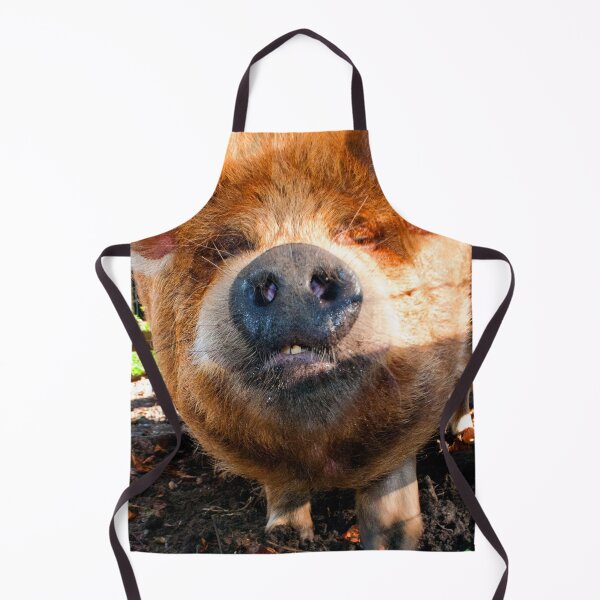 Item preview, New Zealand Kunekune Pig designed and sold by AndyEvansPhotos.