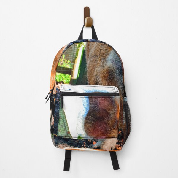 Item preview, New Zealand Kunekune Pig designed and sold by AndyEvansPhotos.