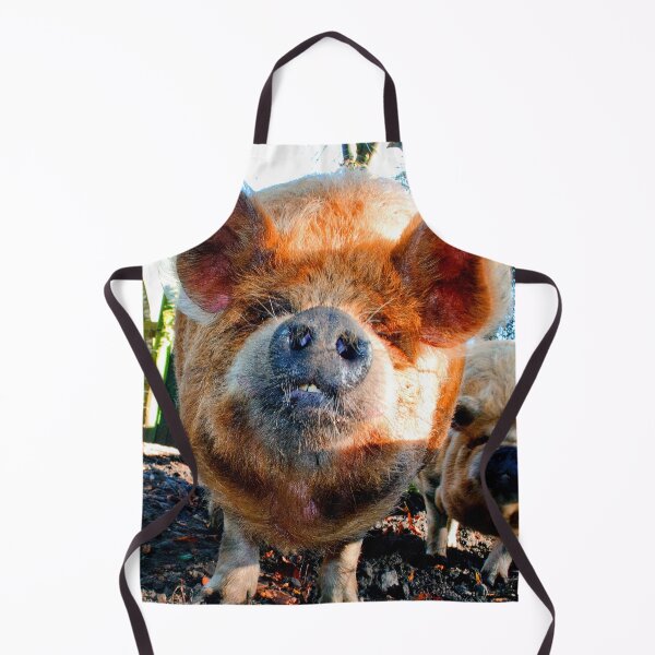 Item preview, New Zealand Kunekune Pig designed and sold by AndyEvansPhotos.