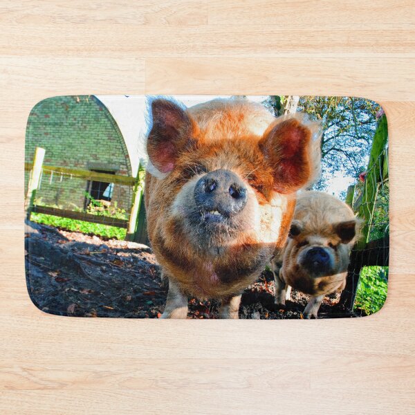 Item preview, New Zealand Kunekune Pig designed and sold by AndyEvansPhotos.