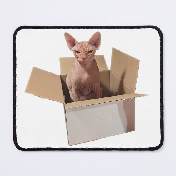 Item preview, grumpy sphynx in box designed and sold by esset.