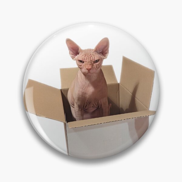 Item preview, grumpy sphynx in box designed and sold by esset.