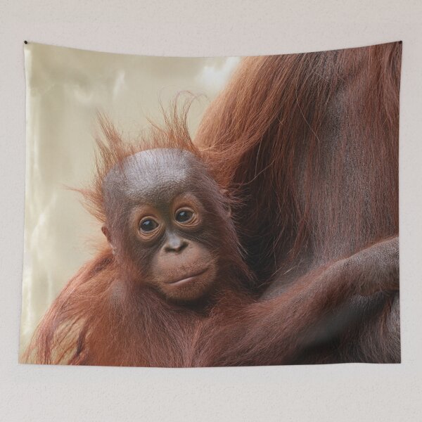 Item preview, Hair-raisingly Cute The Adorable Baby Orangutan designed and sold by rawshutterbug.