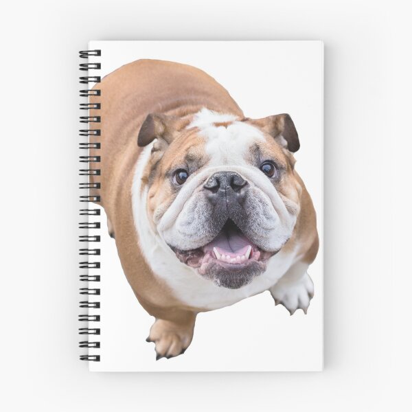 Item preview, Buster the Bulldog designed and sold by natalieel15.