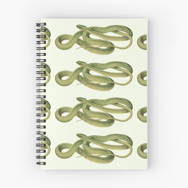 Item preview, Green snake  designed and sold by EdgarCurious.